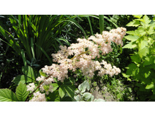 ��������� �������