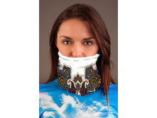 ������� ���� �� ����� �������: ����-0000-0266