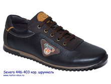 SV 446-403ksh.jpg