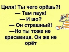 15283933 350645601994560 1988084330528303248 n.jpg