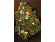 ����- �������