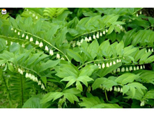 ������. 100 �