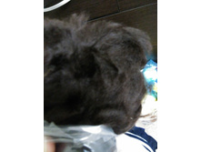 ������ No7