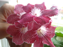 UA ��������