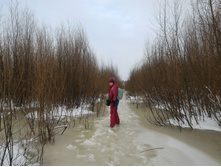 P 20161203 121748.jpg