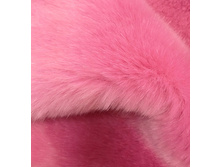 ���**��� ���**����