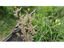 ��������� ���������� ������