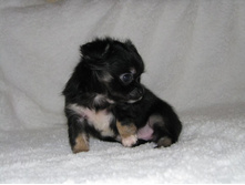 15350728 1223097677756653 5742400566895611276 n.jpg