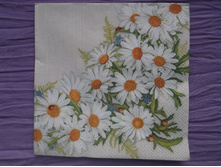 259.jpg �������� 4 ��.