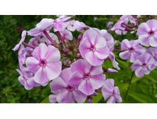 ����������� ��  ���  1