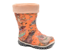 ������ ��������� ���� (23-26)