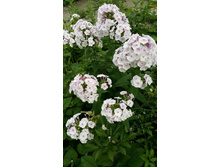 �������� �������� 2