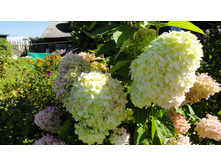 ������� ������