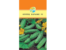 ������ ������� F1 33,00+%