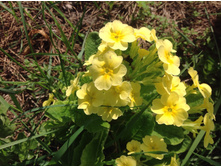 ������� ������������� ������.-80-100 ���.   ����� 9-10 ����!!!