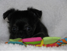 15241229 1223097904423297 6531166492889982576 n.jpg