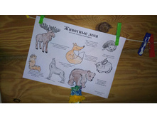 �������� ����.jpg