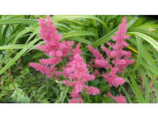 ���� ���� ���