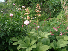 ����. ��������(������)*)