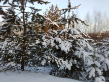 IMG 20161203 140714.jpg