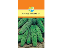 ������ ������ F1 45,00+%