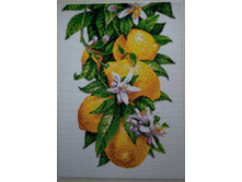 156345947-img 20161004 102619.jpg