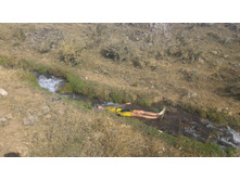 P 20160821 170034.jpg