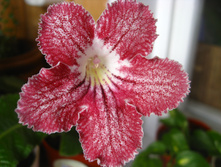 UA ��������