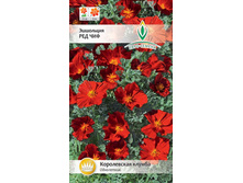 ��������� ��� ��� ������� 9,10���.[���.��000000447]