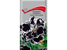 �������� ��������� ������ � ����� ������ 0,04� ����� 15,80���[���.��000004560]