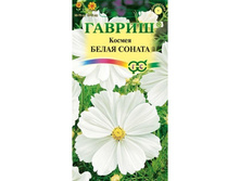 ������ ����� ������ 0,3� ������ 9,10���.[���.3002185]