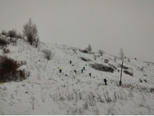 P 20161218 131659.jpg