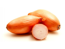 ��������� (������ 14-21) 116���. �� 900�., 58���. �� 450�. (� ������ ������ ���������� ������� �� 450�.).jpg