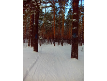 IMG 20161210 111824.jpg