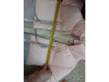 ����� �����