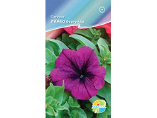 ������� ����� �������� 15,90+%