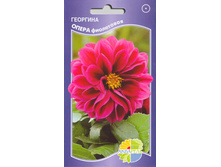 �������� ����� ���������� 13,00+%