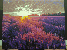 IMG 20161016 094400.jpg