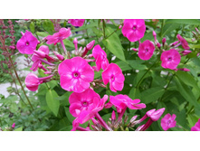 ����������� �� �. �. 2