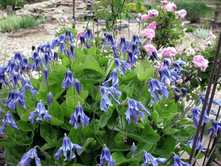 ������������