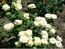 ���� ����� ��������� ���� ������� � �������  180�