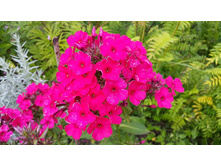 ����  �����������