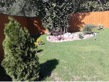 ����-0003 (2).jpg