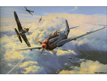 1298916496 1298876975 ww2-aircraft-38.jpg