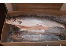 ����� ����������� � ������� ����