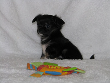 15356526 1223097827756638 5886994491100662293 n.jpg