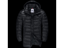 284 ������ 1900�..jpg