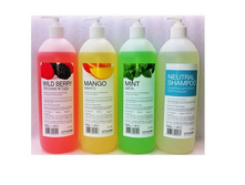 ���������������� ������� "CityCharm Professional"