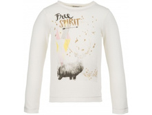 ��������, 905 ���.