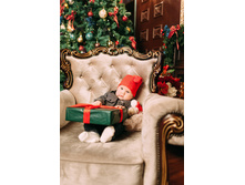 1����� ��� 2017